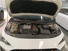 Trumpchi Yingbao 2021 270T DCT J15 - ფოტო 19