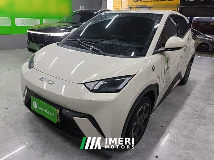 BYD Seagull 305km Freedom Edition