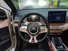 BYD Seagull 305km Freedom Edition - ფოტო 10