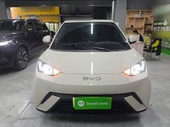 BYD Seagull 305km Freedom Edition - ფოტო 2