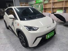 BYD Seagull 305km Freedom Edition - ფოტო 3