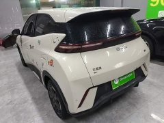 BYD Seagull 305km Freedom Edition - ფოტო 4
