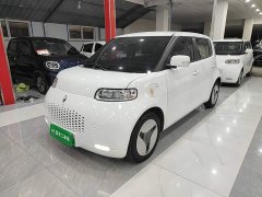 Ora White Cat Upgraded Edition 305km Comfort Edition Ternary Lithium - ფოტო 1