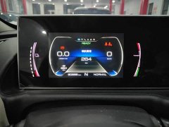 Ora White Cat Upgraded Edition 305km Comfort Edition Ternary Lithium - ფოტო 11