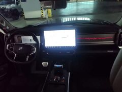 Jetour Chitu Traveler C-DM 129KM Wilderness Edition - photo 9