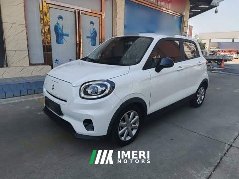 2022 Leapmotor Leapo T03 Haoyu Edition - ავტომობილი ჩინეთიდან