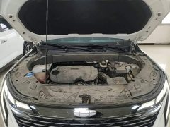 Geely Boyue L 1.5TD DCT Longteng Edition - ფოტო 19