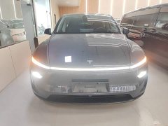 Tesla Model Y Rear-Wheel Drive - ფოტო 2
