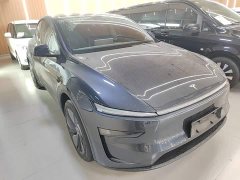 Tesla Model Y Rear-Wheel Drive - ფოტო 3