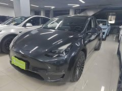 Tesla Model Y Long Range All-Wheel Drive - ფოტო 1