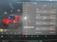Tesla Model Y Long Range All-Wheel Drive - ფოტო 11