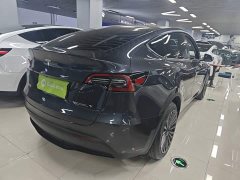 Tesla Model Y Long Range All-Wheel Drive - ფოტო 6