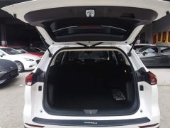 Haval H6 National Trend 1.5T Automatic Champion Edition - ფოტო 18
