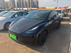 Tesla Model Y Rear-Wheel Drive - ფოტო 1