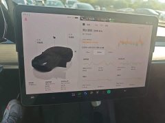 Tesla Model Y Rear-Wheel Drive - ფოტო 11