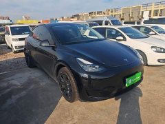 Tesla Model Y Rear-Wheel Drive - ფოტო 3