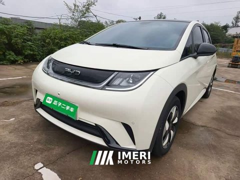 2025 BYD Dolphin 2024 Glory Edition 420km Fashion Version - ავტომობილი ჩინეთიდან