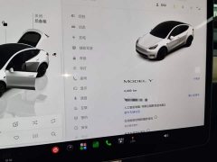 Tesla Model Y 2022 Facelift Rear-Wheel Drive - ფოტო 11