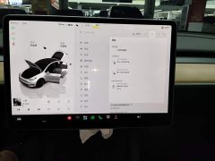 Tesla Model Y 2022 Facelift Rear-Wheel Drive - ფოტო 12