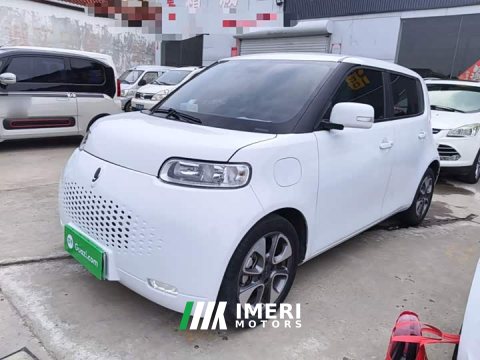 2021 ORA White Cat 2020 305km Luxury - ავტომობილი ჩინეთიდან