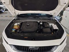 Geely Xingrui 2.0T Diesel Premium Edition - ფოტო 19