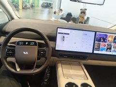 Li Auto Li Xiang MEGA Ultra - ფოტო 9