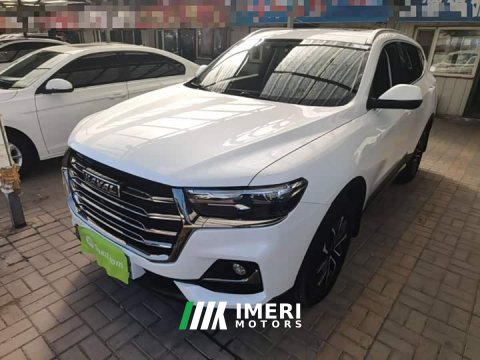 2022 Haval H6 2021 National Trend Edition 1.5T Automatic Urban Version - ავტომობილი ჩინეთიდან