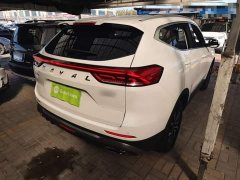 Haval H6 2021 National Trend Edition 1.5T Automatic Urban Version - ფოტო 6