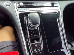GAC Aion M8 Lingxiu Series 390T Luxury Edition - ფოტო 13