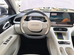 Geely Star Wish 310km Dream Edition - ფოტო 10