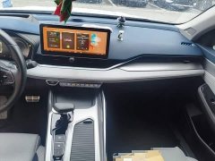 Geely Xingrui 2.0T Diesel Flagship - ფოტო 12