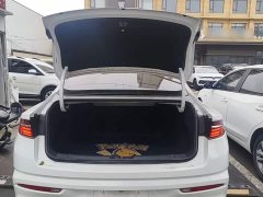 Geely Xingrui 2.0T Diesel Flagship - ფოტო 18