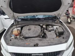 Geely Xingrui 2.0T Diesel Flagship - ფოტო 19