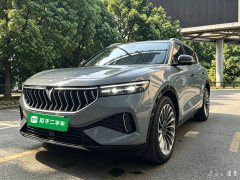Voyah Lantu FREE Four-Wheel Drive Standard Extended Range Exclusive Luxury Package - ფოტო 1
