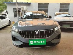 Voyah Lantu FREE Four-Wheel Drive Standard Extended Range Exclusive Luxury Package - ფოტო 2