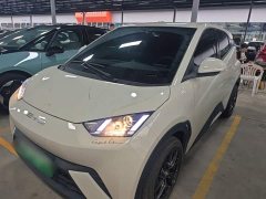 BYD Seagull 2023 Vitality Edition - ფოტო 1