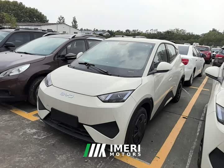 BYD Seagull Smart Drive 305km Vitality Edition