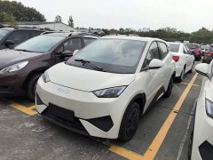 BYD Seagull 2025 Smart Drive 305km Vitality Edition - ფოტო 1