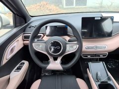 BYD Seagull 2025 Smart Drive 305km Vitality Edition - ფოტო 10