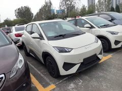 BYD Seagull 2025 Smart Drive 305km Vitality Edition - ფოტო 3