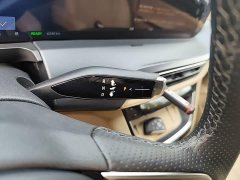Buick GL8 New Energy Lusang Respect Edition - ფოტო 13