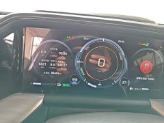 GAC Aion GS8 Dual Engine 2.0T M Two-Wheel Drive Luxury Edition (7-Seater) - ფოტო 11