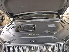 GAC Aion GS8 Dual Engine 2.0T M Two-Wheel Drive Luxury Edition (7-Seater) - ფოტო 19