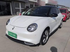 ORA Good Cat 400km Standard Range Athena Edition LFP Battery - ფოტო 1