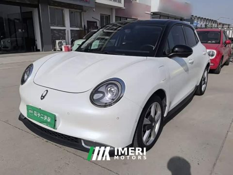 2021 ORA Good Cat 400km Standard Range Athena Edition LFP Battery - ავტომობილი ჩინეთიდან