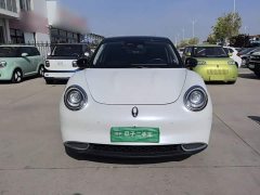 ORA Good Cat 400km Standard Range Athena Edition LFP Battery - ფოტო 2