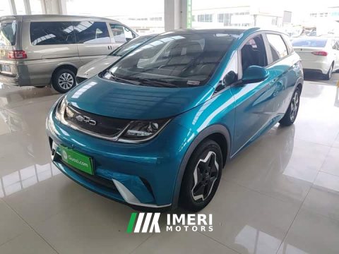 2023 BYD Dolphin 405km Fashion Edition - ავტომობილი ჩინეთიდან