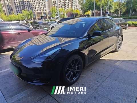 2021 Tesla Model 3 Standard Range RWD Upgrade 3D6 - ავტომობილი ჩინეთიდან