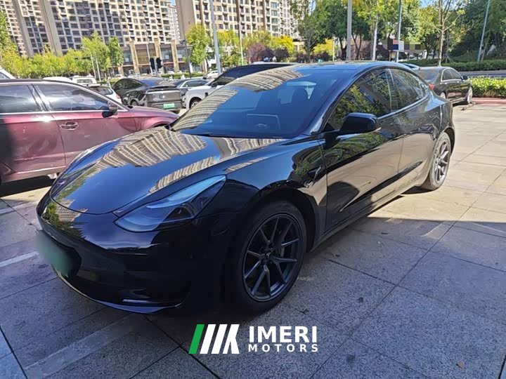 Tesla Model 3 Standard Range RWD Upgrade 3D6