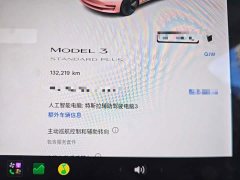 Tesla Model 3 Standard Range RWD Upgrade 3D6 - ფოტო 11